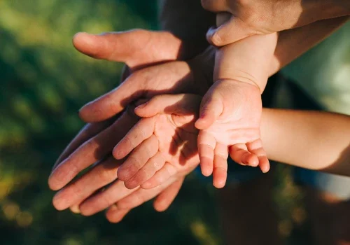 Mãos de adultos e criança em harmonia